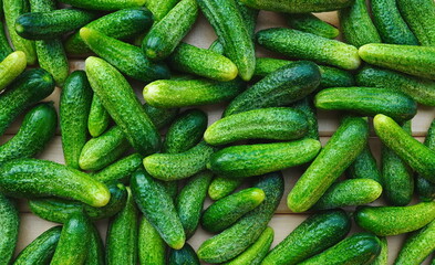 Cucumbers Fresh Top View Vibrant Green Background Texture