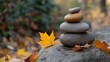 © Elmin - The idea of finding peace and stability, like carefully balancing stones.