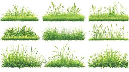 Collection of green grass patterns on a white background, depicted in cartoon, Vector illustration of a lawn