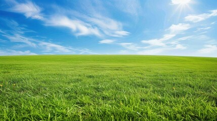 Sticker - Lush Green Field Under Clear Blue Sky