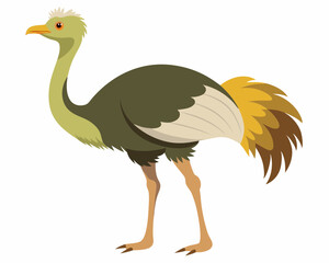 Wall Mural - ostrich vector illustration