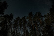 © sergeyxsp - A clear night reveals a stunning display of stars twinkling above a dense forest, where tall trees rise majestically against the cosmic backdrop, creating a serene atmosphere.