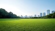 © Preecha - Lush green park with city skyscrapers in the background, clear skies, and space for advertising text, high-end magazine photography, deep depth of field, Product photography with high resolution,