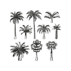 Set of palm tree engraved vintage design