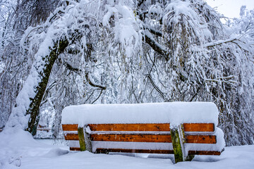 typical wooden park bench