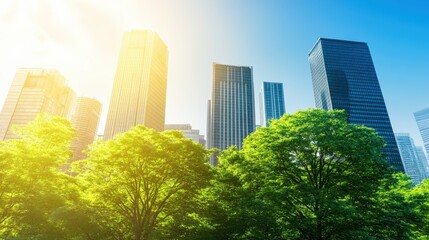 Canvas Print - A vibrant city skyline with towering buildings surrounded by lush greenery, illuminated by warm sunlight under a clear blue sky.