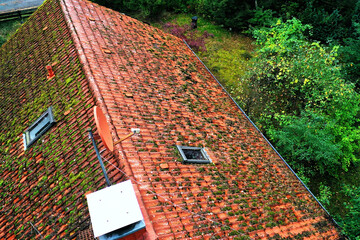 Drone view of a mossy roof requiring cleaning and maintenance