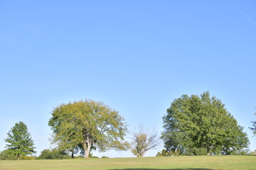 Sticker - Blue Sky Over Trees on a Hill