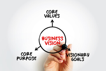 Wall Mural - Business Vision mind map concept for presentations and reports with marker