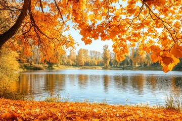 Wall Mural - Spectacular autumn park nature scene. Colorful trees and lake in a park, bright clear autumn skies.