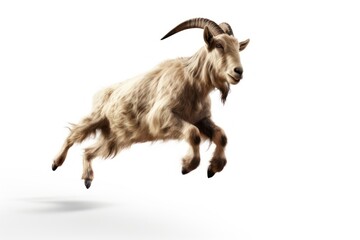 Wall Mural - Jumping goat livestock wildlife animal.