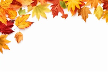 Canvas Print - Autumn seasonal copy space backgrounds falling autumn.