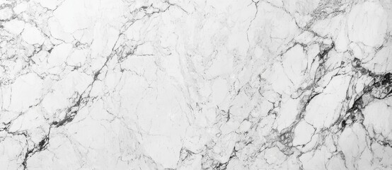 Wall Mural - marble granite white panorama background wall surface black pattern graphic abstract light elegant b