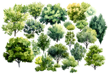 aerial watercolor illustration of diverse greenery including trees, bushes, and shrubs, designed for