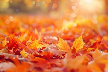 Poster - Orange maple leaves on the ground autumn leaf plant.