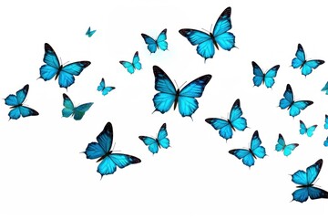 Wall Mural - Butterflies butterfly animal insect.