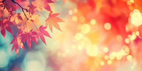 Poster - Autumn background with red maple leaves and blurred bokeh light on a vintage color tone background leaf autumn lights.