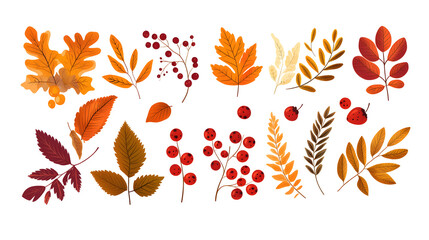 Wall Mural - Autumn leaves hand drawn collection isolated on white