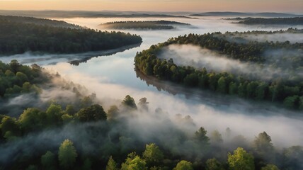 Wall Mural - Misty morning on the lake   fog in nature  fog  forest river fog