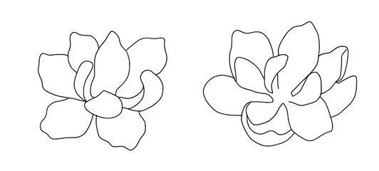 Pencil sketch hand drawn tulip flowers. Sketching vector flowers illustration isolated on white background.