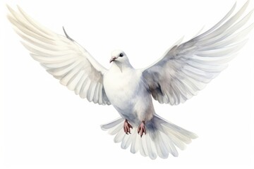 Wall Mural - Animal pigeon white bird.