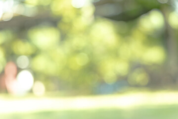 green blurred backdrop of nature, circle light wallpaper, white bokeh background