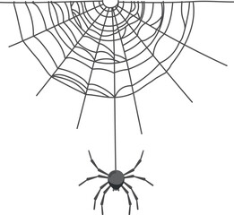 Wall Mural - spider hanging from net. halloween spooky web decoration