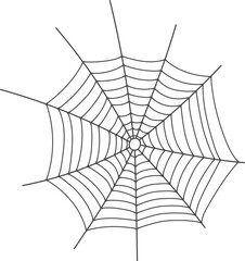 Wall Mural - hand drawn spider net. round line cobweb