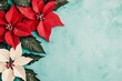 © KENZOGROW - Vibrant red and white poinsettia flowers on a textured turquoise background.