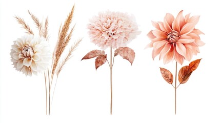 Canvas Print - Three different types of flowers on a white background