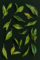 Wall Mural - A bunch of green leaves on a black surface