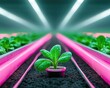 ©  Green Creator - LED lights illuminating hydroponic vegetable rows in a modern greenhouse, energy-efficient farming