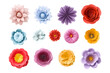 © Medard - Collection set of paper flowers isolated on transparent or white background