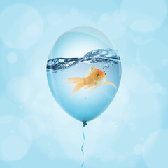 Balloon with water and goldfish against light blue background