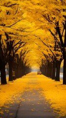 Wall Mural - A peaceful avenue flanked by majestic gingko trees with vibrant yellow foliage, creating a canopy of golden leaves overhead