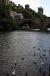 © Collpicto - River wear viewed at Framwelgate waterside - Durham - County Durham - England - UK