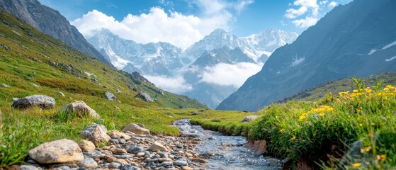 Wall Mural -  A stream winds through a verdant valley, towering mountains as its backdrop, yellow wildflowers dotting the foreground