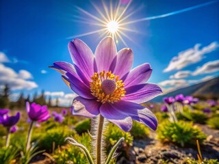 Wall Mural - Vibrant Spiky Purple Wildflower Blooming in a Natural Setting Under Bright Sunny Sky in Springtime