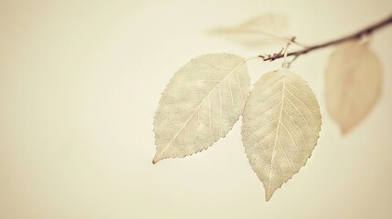 Poster -  A single leaf clings to a twig against a pale backdrop