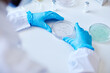 © Seventyfour - Top view of unrecognizable biochemist hands in blue gloves culturing bacteria in petri dish while developing new pharmaceuticals in laboratory of manufacturing company, copy space