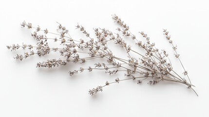 Canvas Print -   A white surface with a close-up of a flower bouquet and a shadow on the left