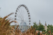 © ADDICTIVE STOCK - Roue des Quinconces framed by autumn foliage in Bordeaux