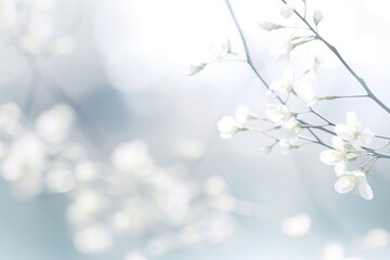 Wall Mural - Bokeh backgrounds outdoors blossom.