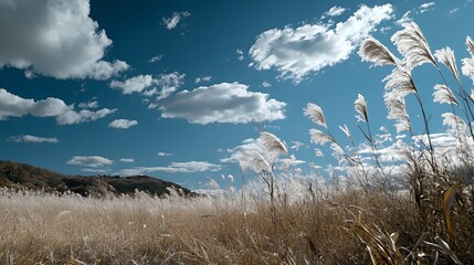 A serene landscape featuring tall grasses under a blue sky with fluffy clouds.