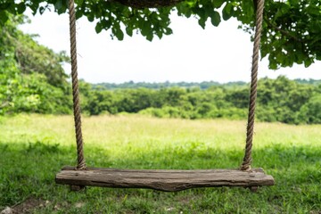 Canvas Print - Peaceful countryside landscape with wooden swing