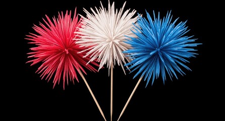 Poster - Colorful fireworks display against a black background