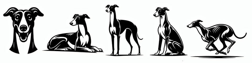 Wall Mural - Set of greyhound vector silhouette illustration, dog clip art mascot symbol icon element collection