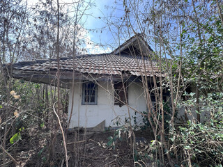 old abandoned house in the forest