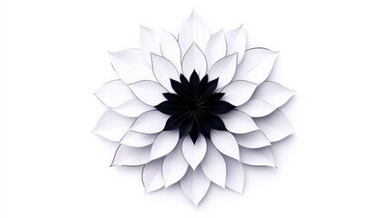 Wall Mural - Elegant flower design with black and white petals, white isolate background.