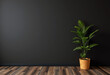 © XMind - photo simple empty room with black wall with copy space and plant